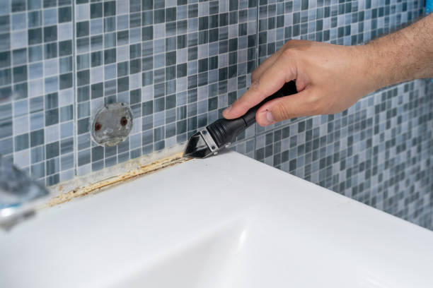 Office Mold Removal Services in Polo, IL